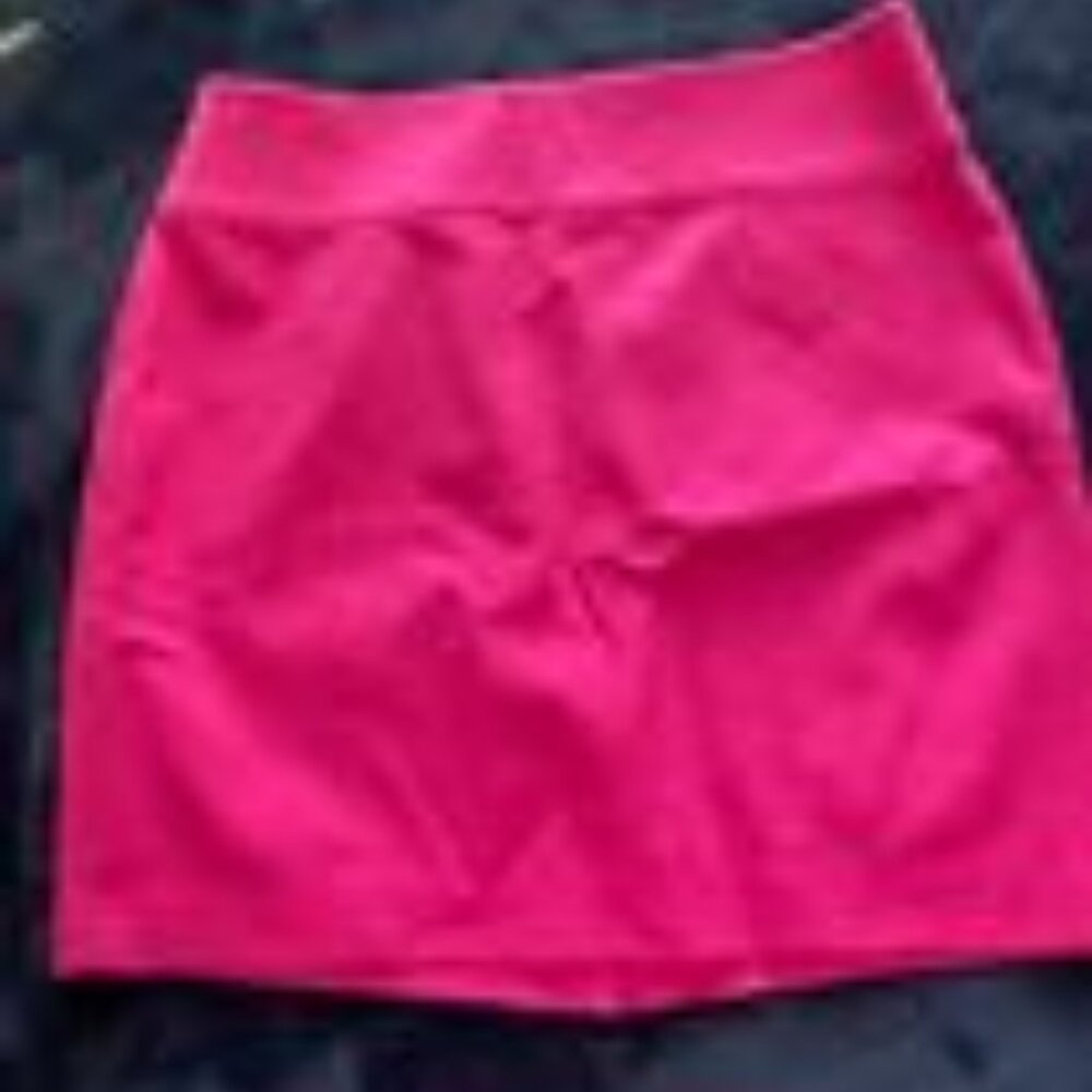 NWT BANANA REPUBLIC PINK SKIRT SZ 10P